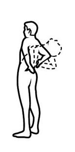 back1 Exercises for Your Lower Back: Building Core Strength and Reducing Pain