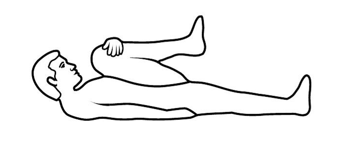 back2 Exercises for Your Lower Back: Building Core Strength and Reducing Pain