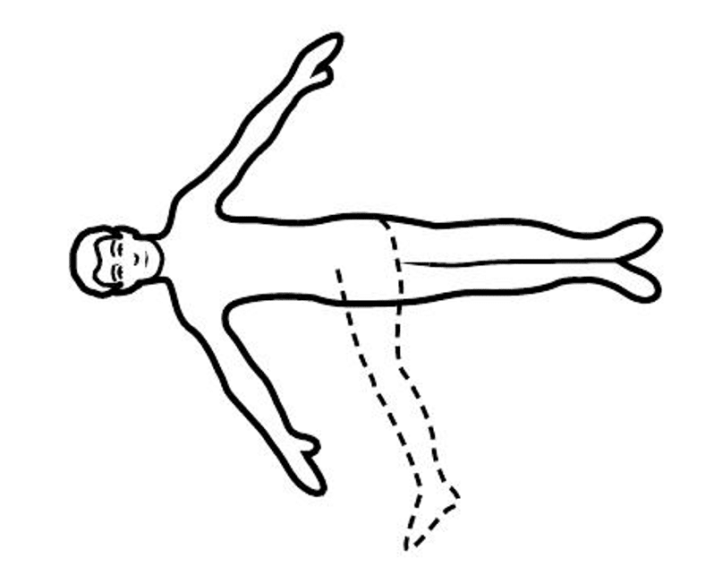back4 Exercises for Your Lower Back: Building Core Strength and Reducing Pain