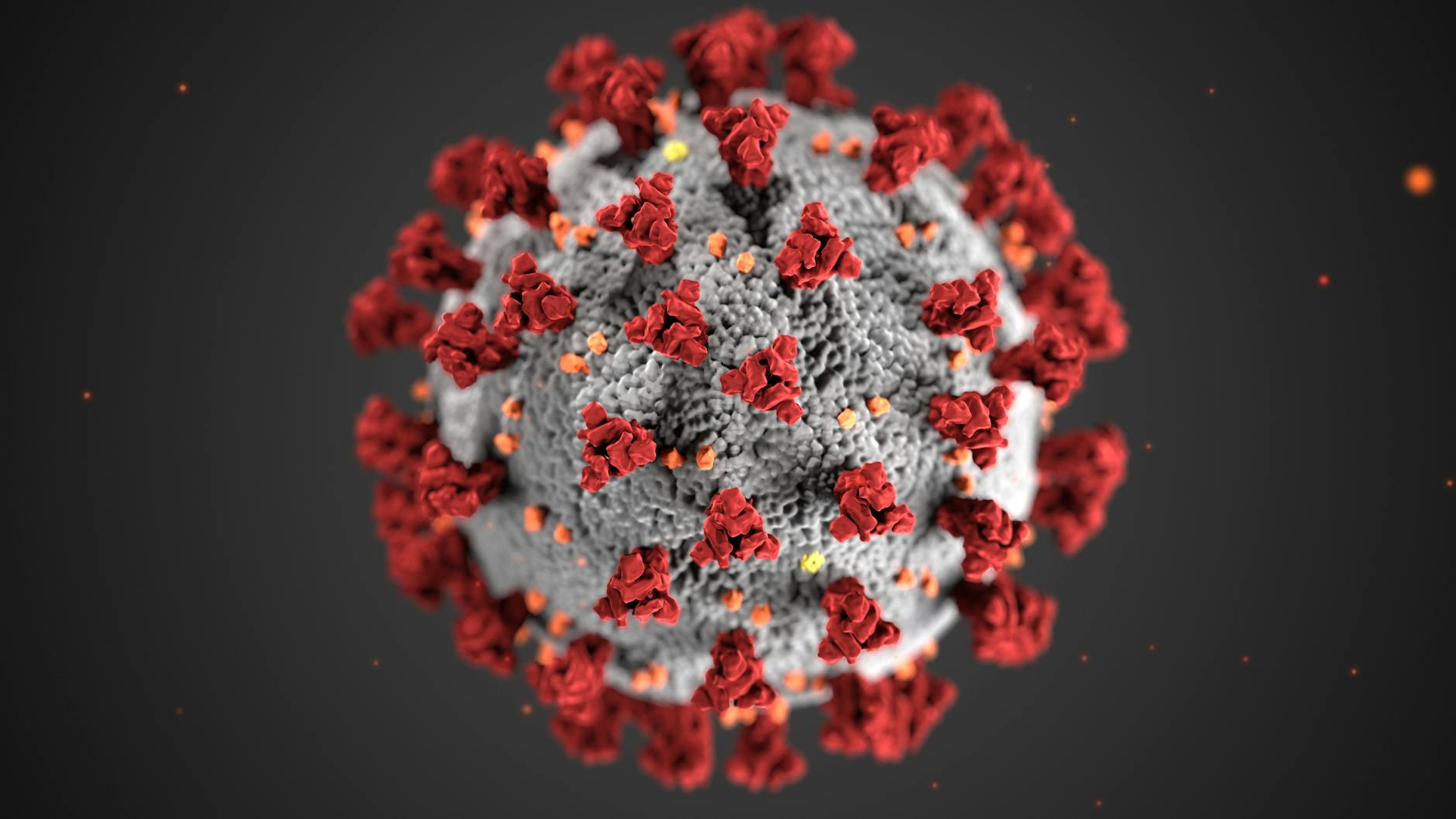 Comparing Cold to Other Respiratory Illnesses