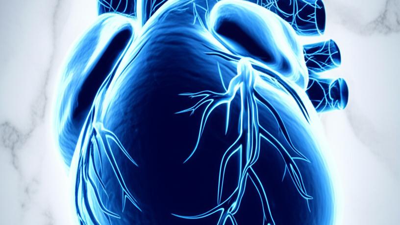 Endothelin: Your Body’s Blood Pressure Helper?