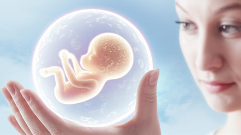 Blastocyst: Tiny Start, Big Journey