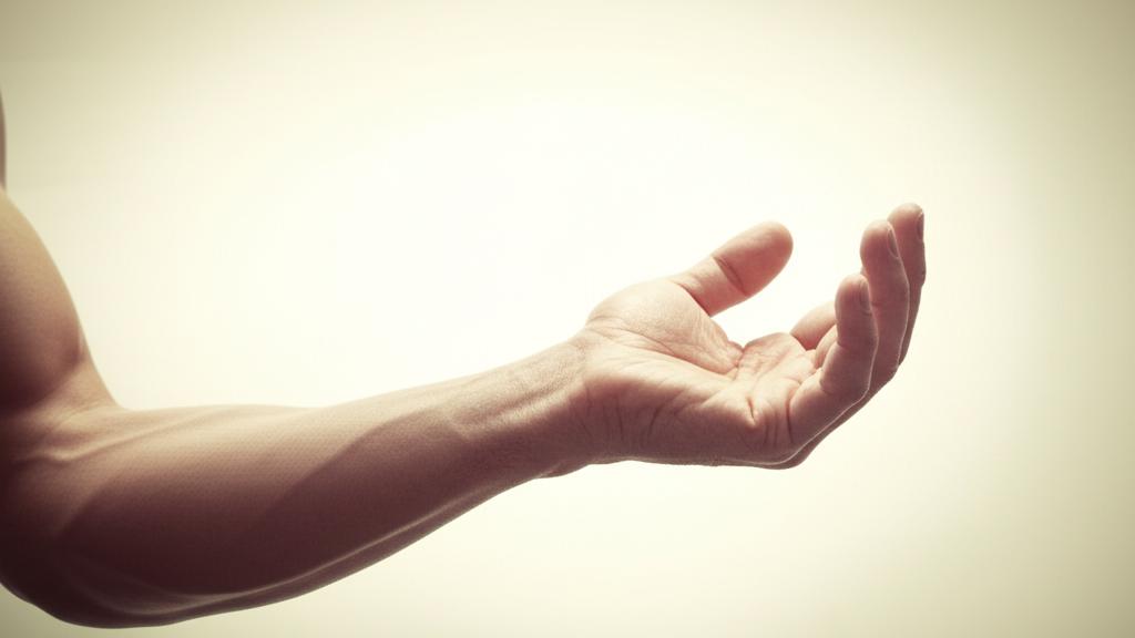 Radius Bone: Your Arm’s Unsung Hero