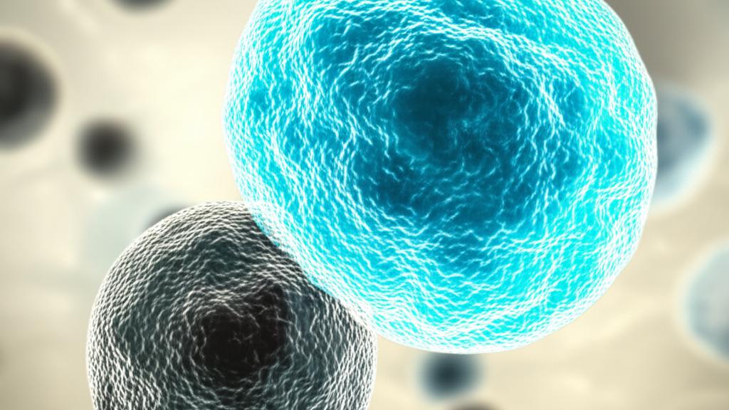 Natural Killer Cells: Your Immune Bodyguards Explained